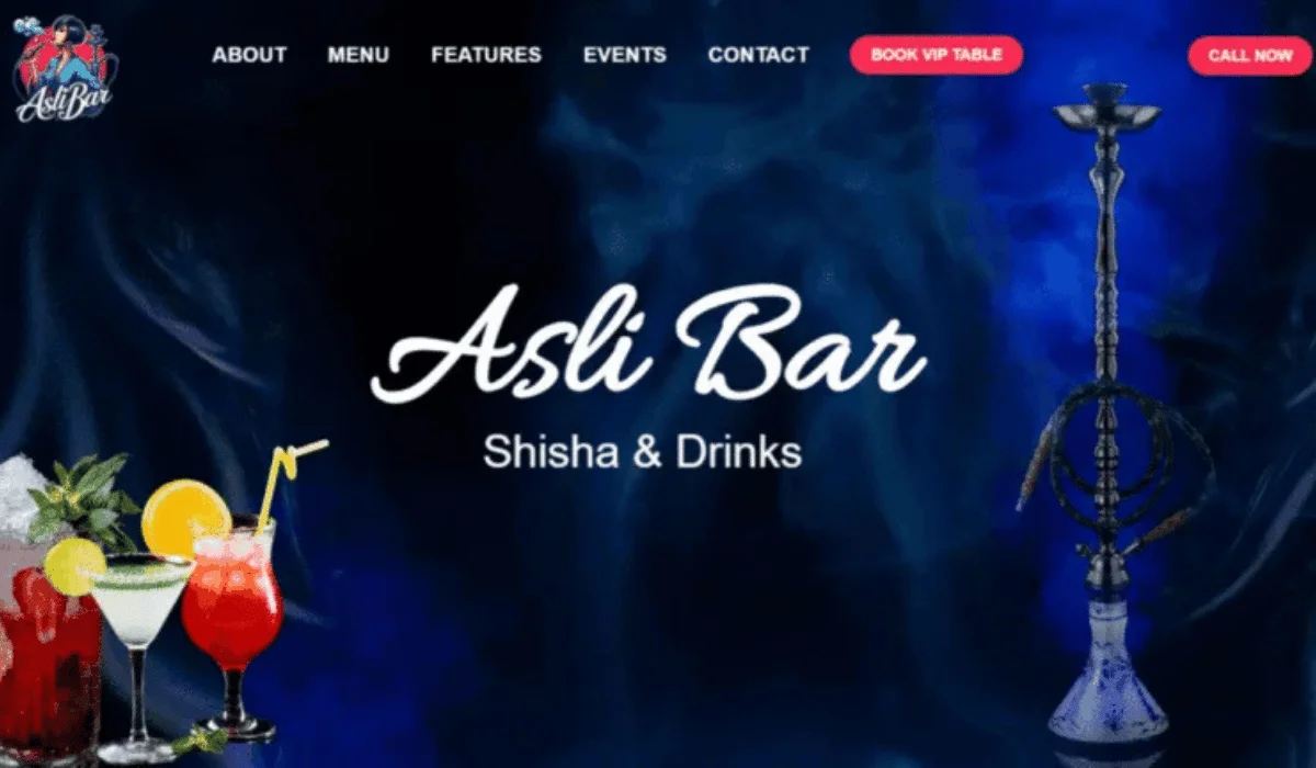 asli-bar-portfolio-revolution-hub.webp