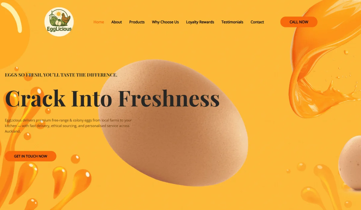 egglicious-portfolio-revolution-hub.webp